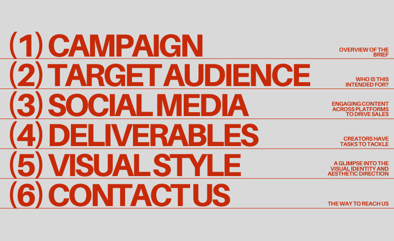 Branding & Visual Identity